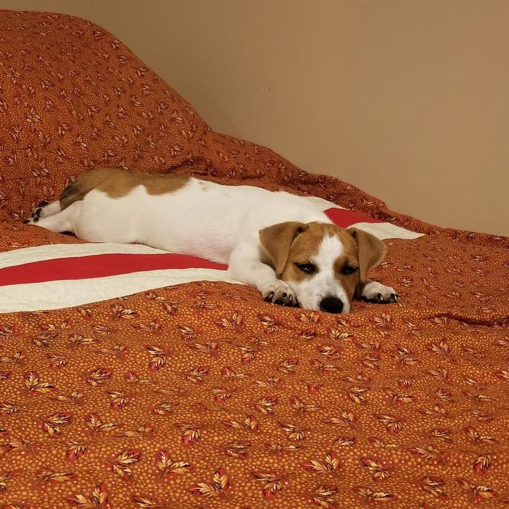 Meet your Posher, Carrie